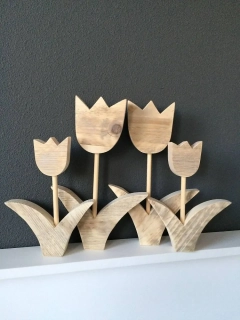 Tulipán